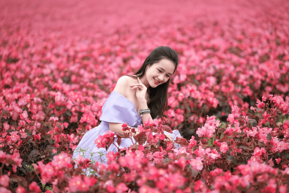 Fresh Garden Đ&agrave; Lạt nổi bật với vườn hoa được tạo h&igrave;nh kh&eacute;o l&eacute;o th&agrave;nh nhiều tiểu cảnh (Nguồn: Khu du lịch Fresh Garden Dalat)